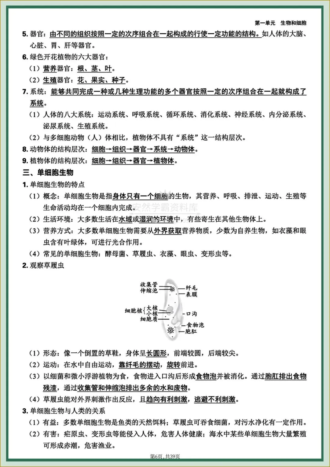 26年中考【26生物会考】全四册〈生物〉全册《核心知识点梳理+章节思维导图》,电子版可下载打印! 第9张 26年中考【26生物会考】全四册〈生物〉全册《核心知识点梳理+章节思维导图》,电子版可下载打印! 第9张