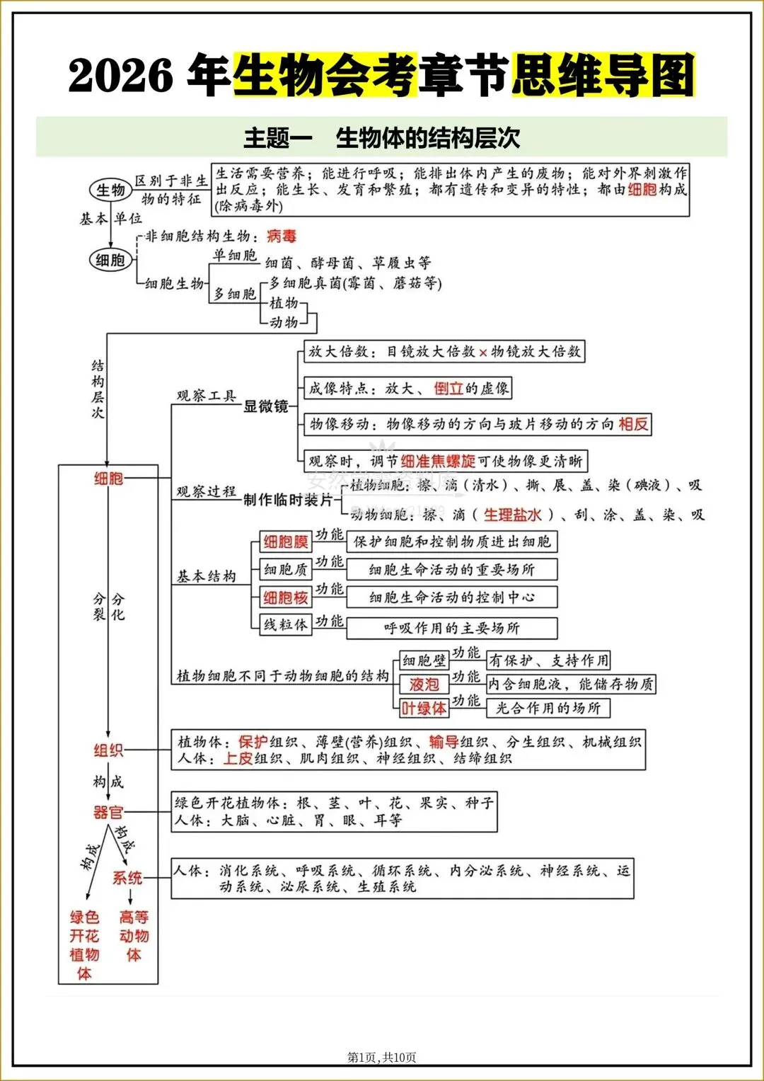 26年中考【26生物会考】全四册〈生物〉全册《核心知识点梳理+章节思维导图》,电子版可下载打印! 第11张 26年中考【26生物会考】全四册〈生物〉全册《核心知识点梳理+章节思维导图》,电子版可下载打印! 第11张