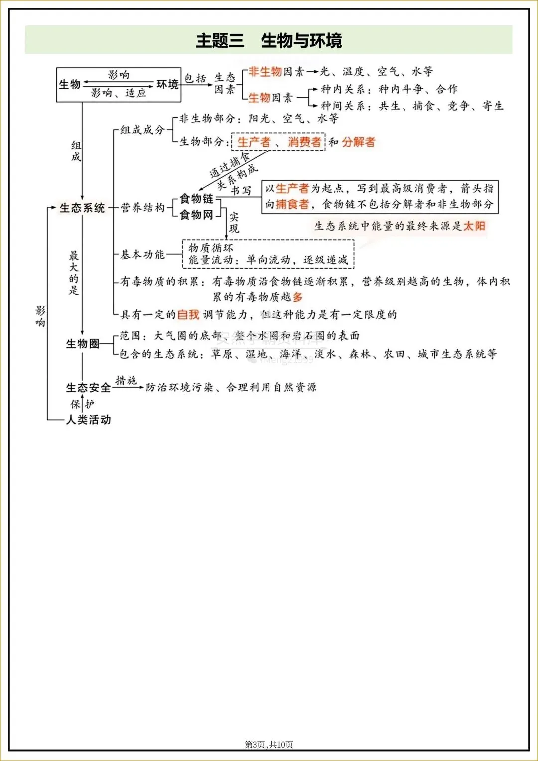 26年中考【26生物会考】全四册〈生物〉全册《核心知识点梳理+章节思维导图》,电子版可下载打印! 第13张 26年中考【26生物会考】全四册〈生物〉全册《核心知识点梳理+章节思维导图》,电子版可下载打印! 第13张