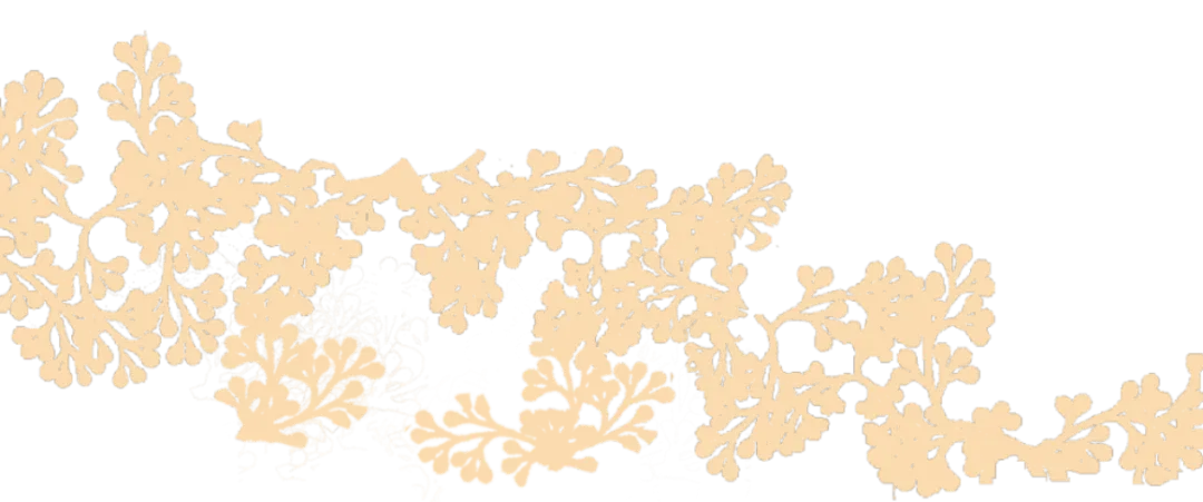 青春逐梦,决胜中考 ——2026中考百日誓师 第2张