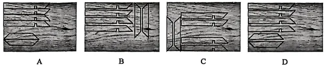【2027届高二试卷(文字可复制)】2026年3月名校协作体高二通用技术含答案 第12张