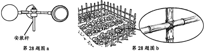 【2027届高二试卷(文字可复制)】2026年3月名校协作体高二通用技术含答案 第17张