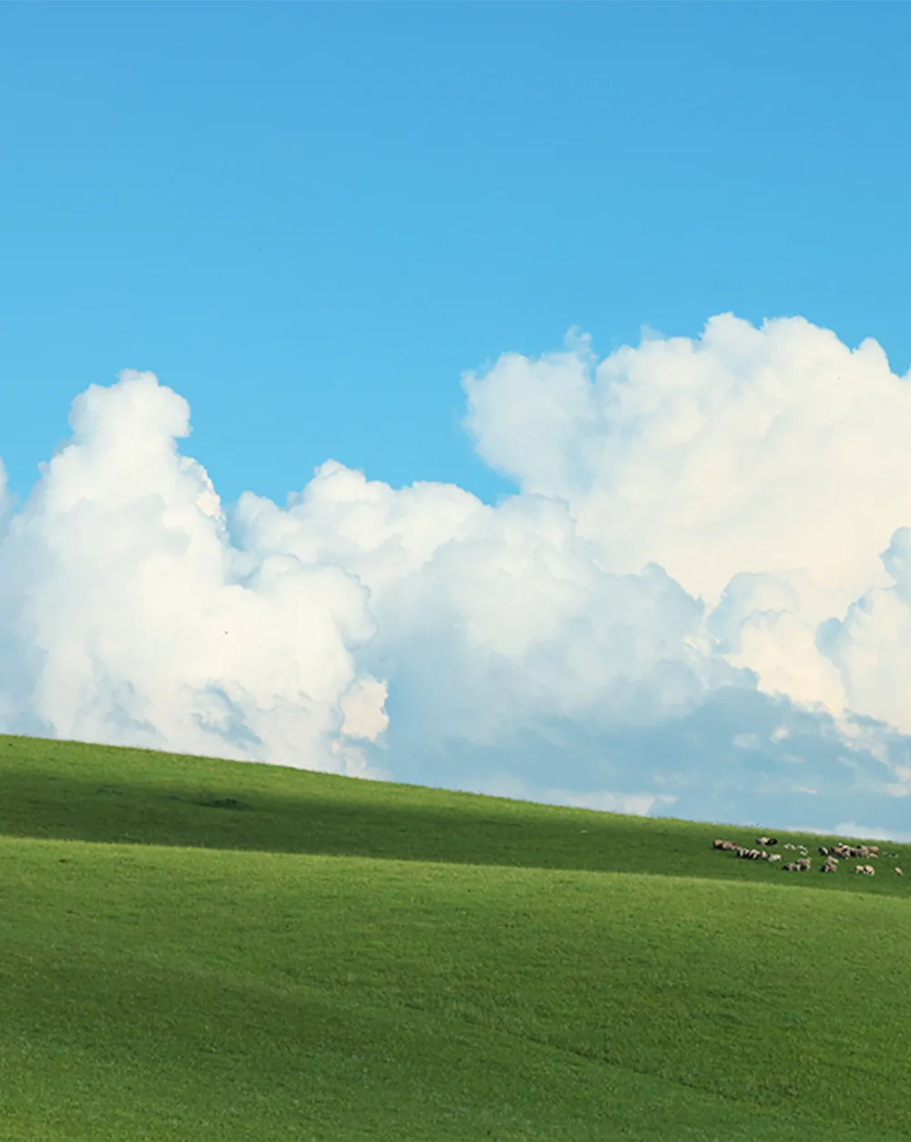 4F 运动 | 中考体测,装备指南! 第2张