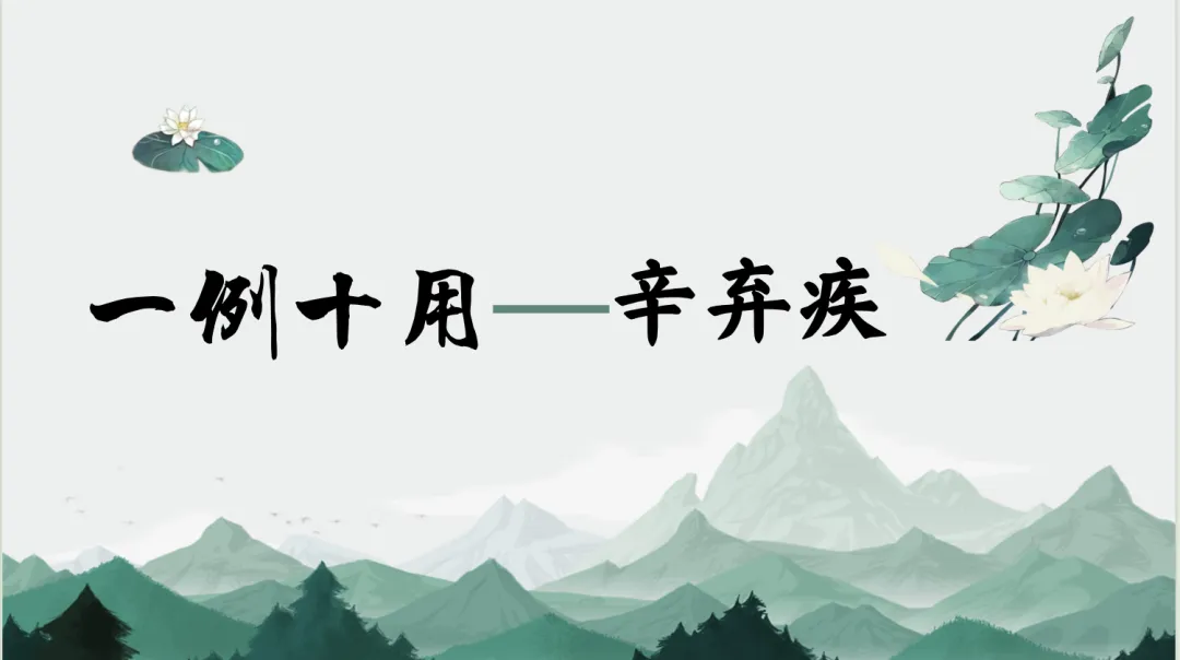 中考作文摘抄素材积累(十七)一例十用——辛弃疾 第1张