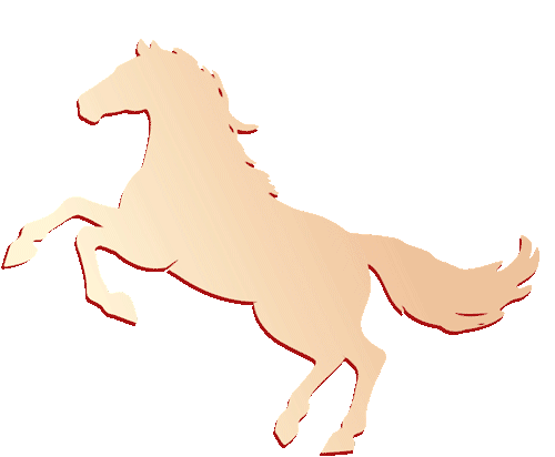 百日冲刺,共赴山海!恺瑞学子誓战中考 第42张 百日冲刺,共赴山海!恺瑞学子誓战中考 第42张