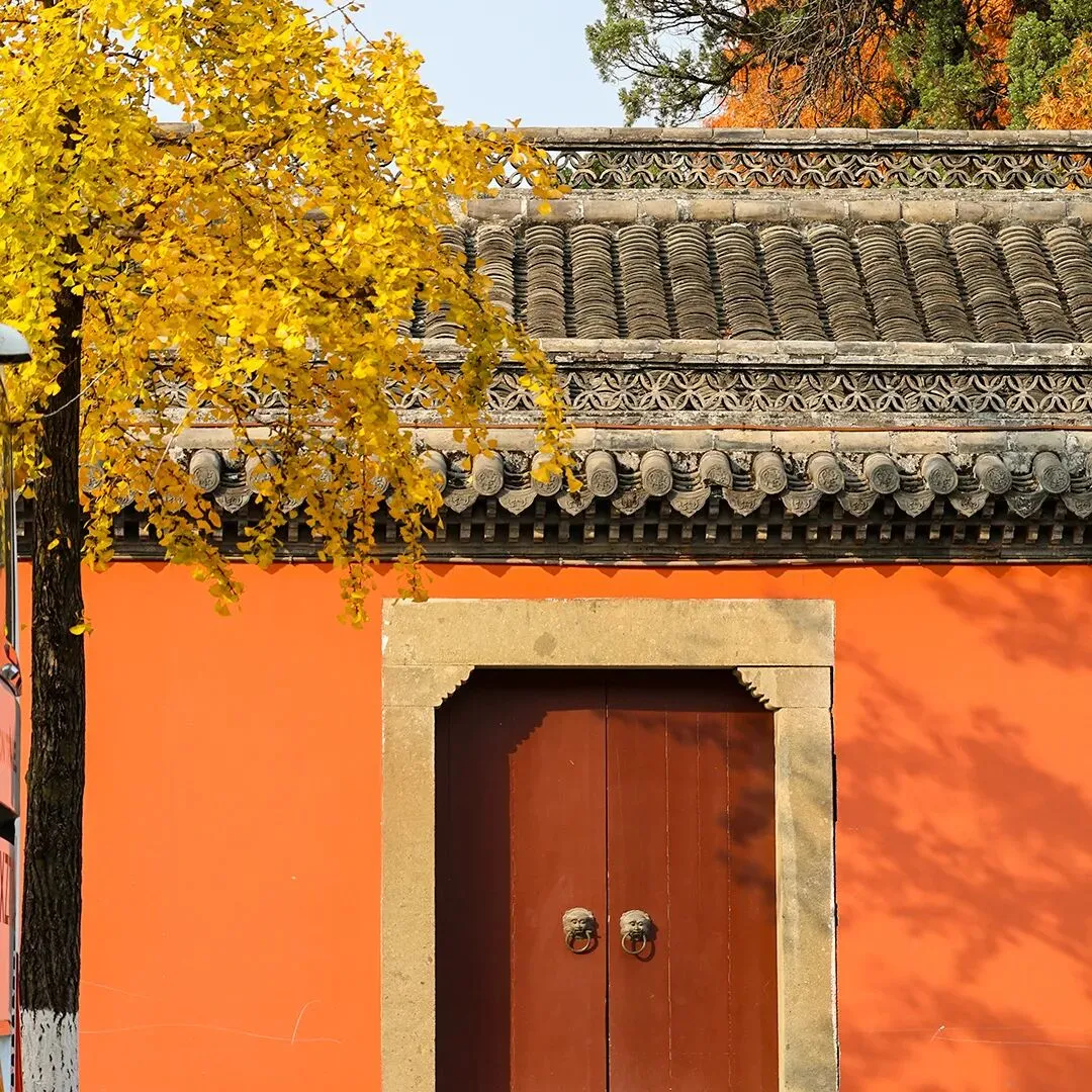 上海八上数学 |《金试卷》满分训练与测试 第20张 上海八上数学 |《金试卷》满分训练与测试 第20张