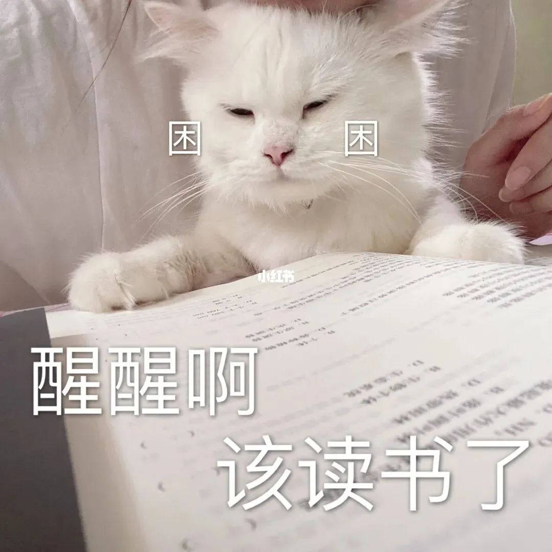 揭秘教资真题试卷:每年必考点归纳,看过就有分! 第2张 揭秘教资真题试卷:每年必考点归纳,看过就有分! 第2张