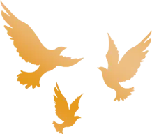 通关期货模拟考,职业交易新起点! 第31张