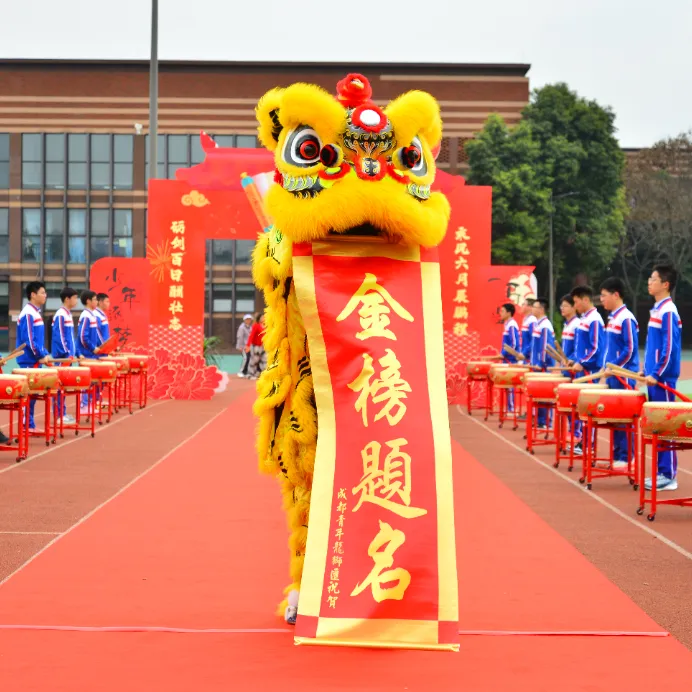 少年逐梦 一马当先——新都区蜀龙学校中考誓师大会 第4张