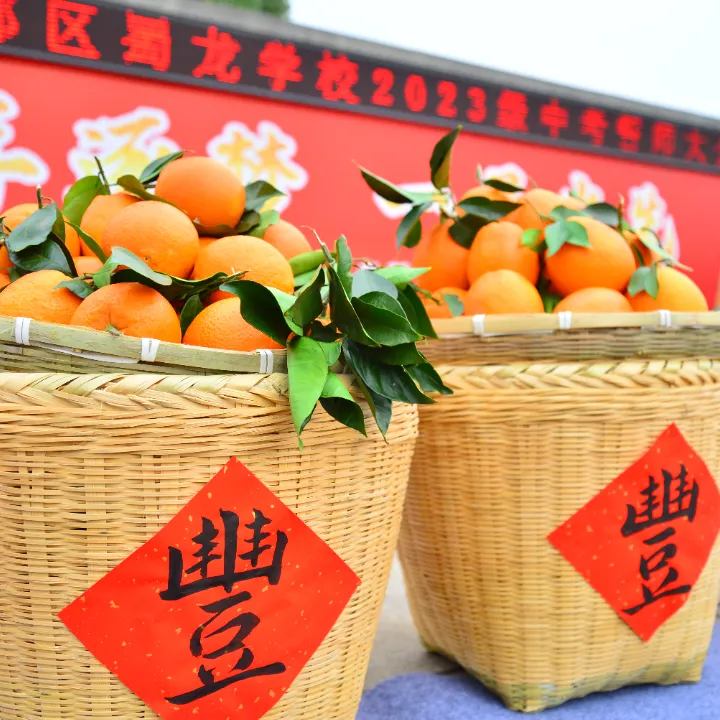 少年逐梦 一马当先——新都区蜀龙学校中考誓师大会 第5张