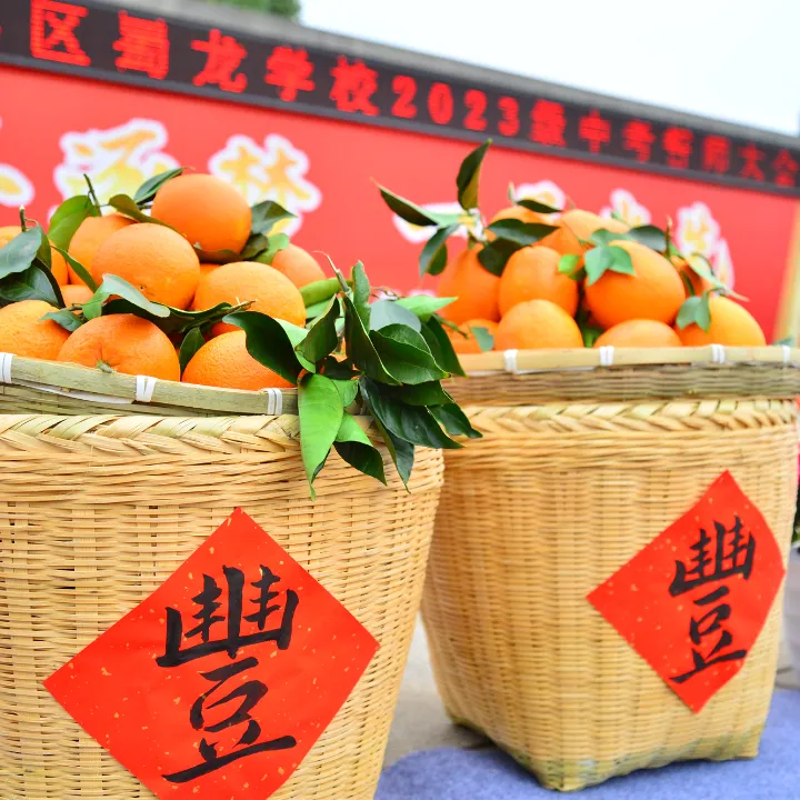 少年逐梦 一马当先——新都区蜀龙学校中考誓师大会 第27张