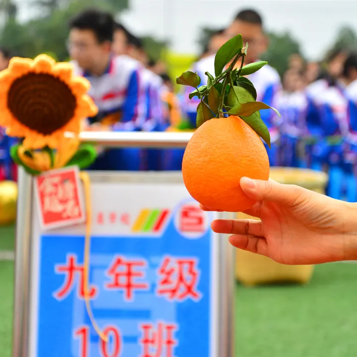 少年逐梦 一马当先——新都区蜀龙学校中考誓师大会 第28张