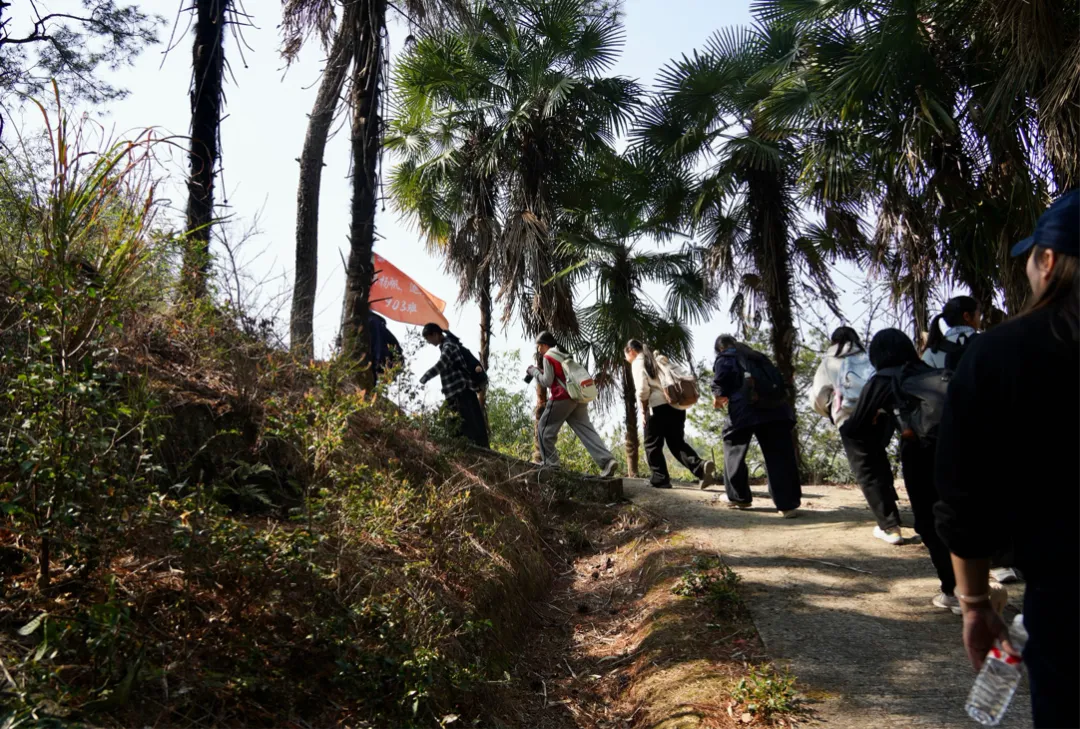 冲刺中考,勇攀高峰——丽水市文元学校2026届远足登山活动圆满举行 第2张