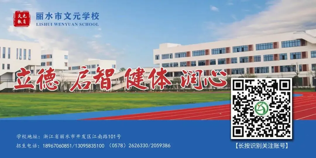 冲刺中考,勇攀高峰——丽水市文元学校2026届远足登山活动圆满举行 第26张
