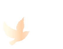 百日奋战再扬凌云之志,决战中考2026赓续辉煌——精英凌云中学初三年级百日誓师大会圆满举行 第38张 百日奋战再扬凌云之志,决战中考2026赓续辉煌——精英凌云中学初三年级百日誓师大会圆满举行 第38张