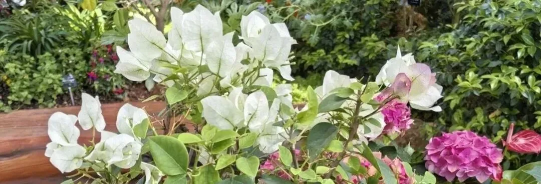 2025年上海市闵行区中考英语二模试卷 第2张