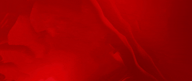 平和文峰:迎战中考!百日誓师燃斗志 第3张