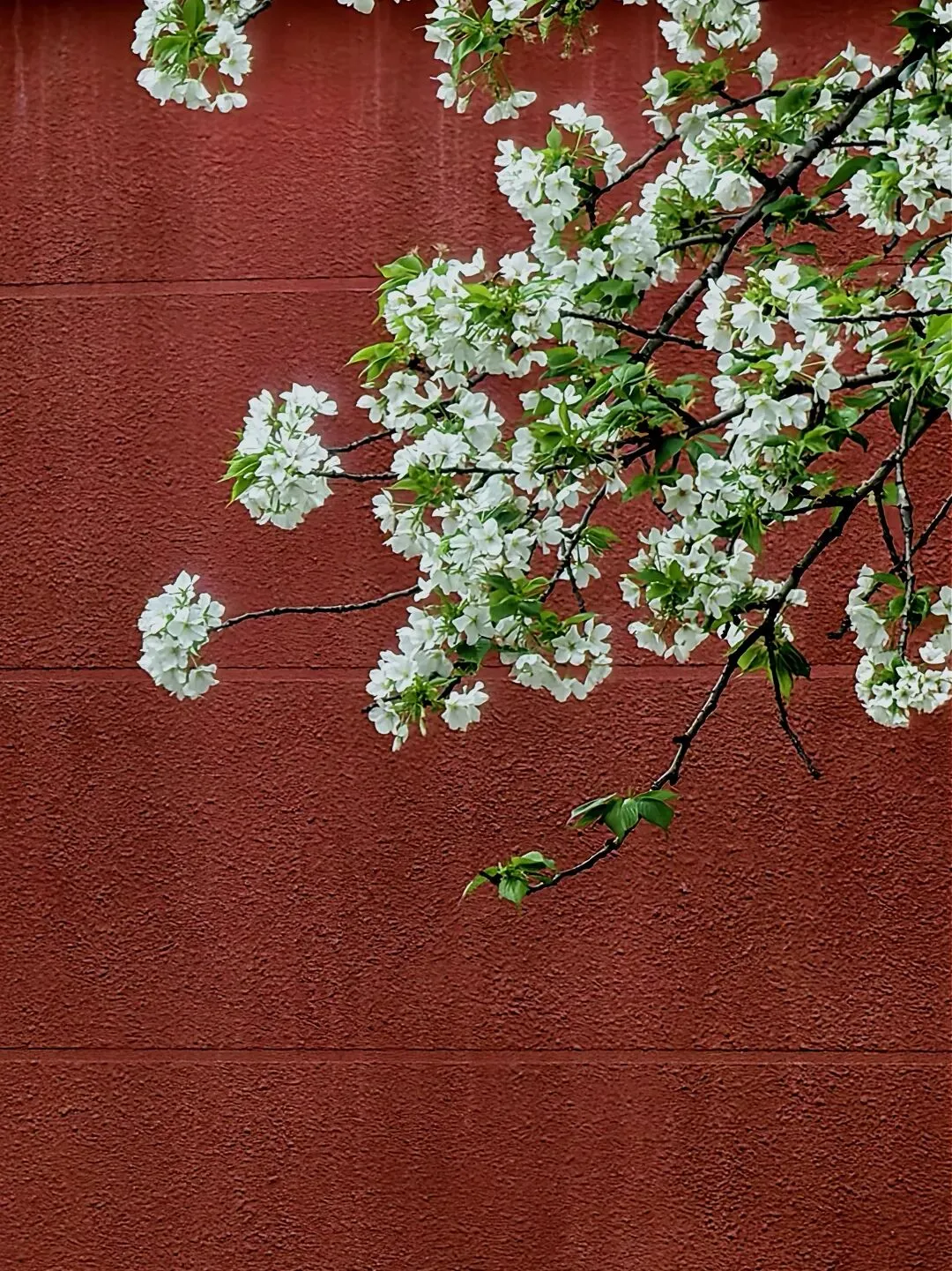 2026届济宁市高考第一次模拟考试英语试题词汇二次开发 第1张