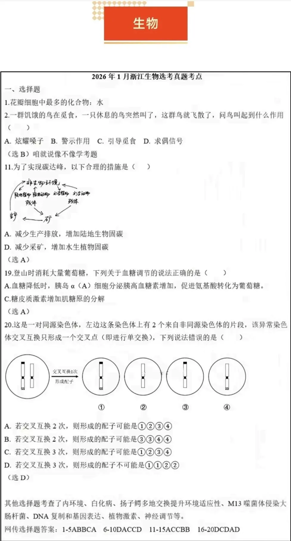 2026年一月浙江省首考【生物】真题试卷及答案解析 免费分享(附历年) 第2张 2026年一月浙江省首考【生物】真题试卷及答案解析 免费分享(附历年) 第2张