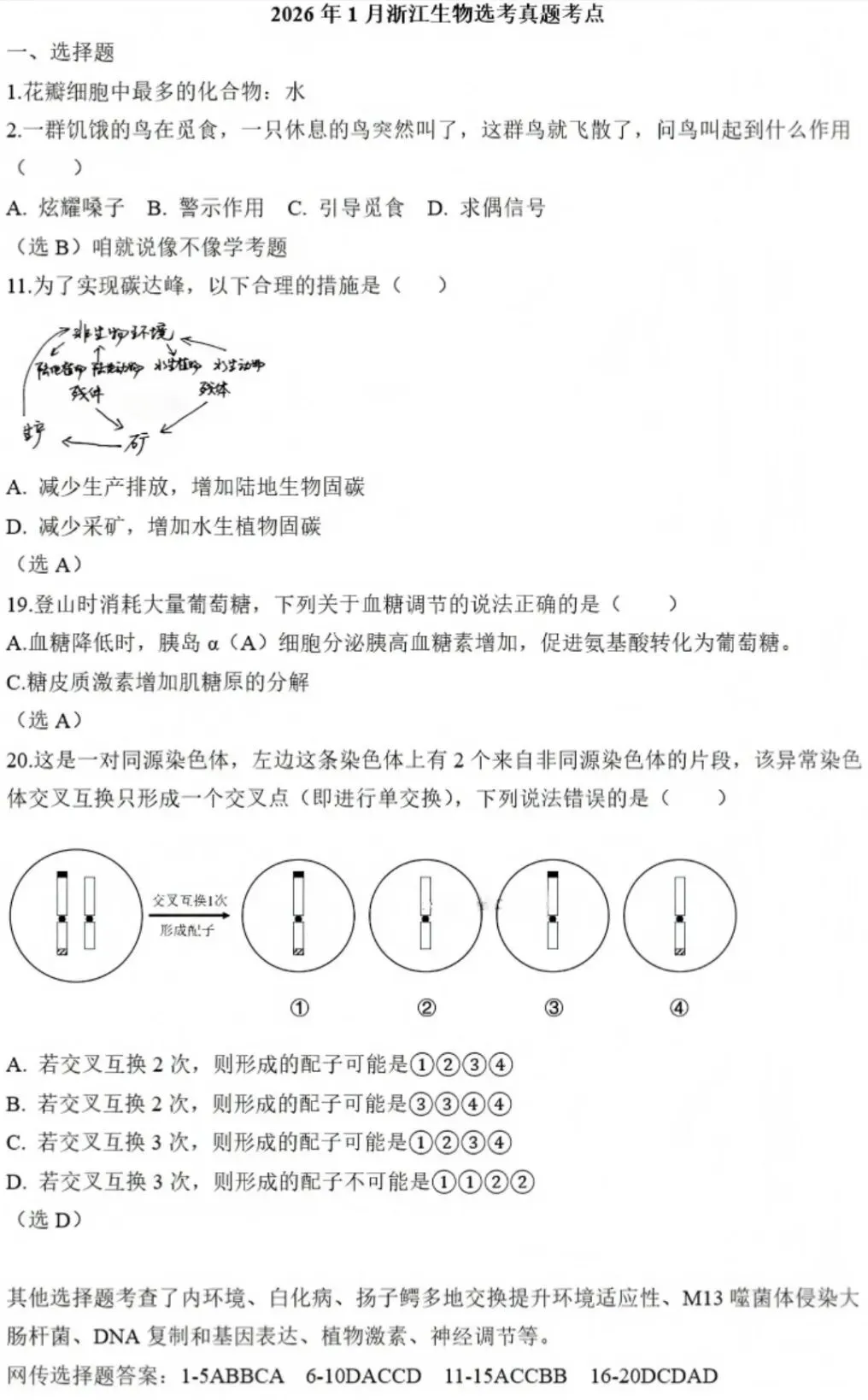2026年一月浙江省首考【生物】真题试卷及答案解析 免费分享(附历年) 第3张 2026年一月浙江省首考【生物】真题试卷及答案解析 免费分享(附历年) 第3张