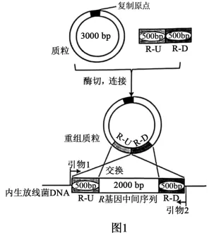 高考真题‖2025高考生物学真题分类汇编专题十五之03 发酵工程及其应用 第5张 高考真题‖2025高考生物学真题分类汇编专题十五之03 发酵工程及其应用 第5张