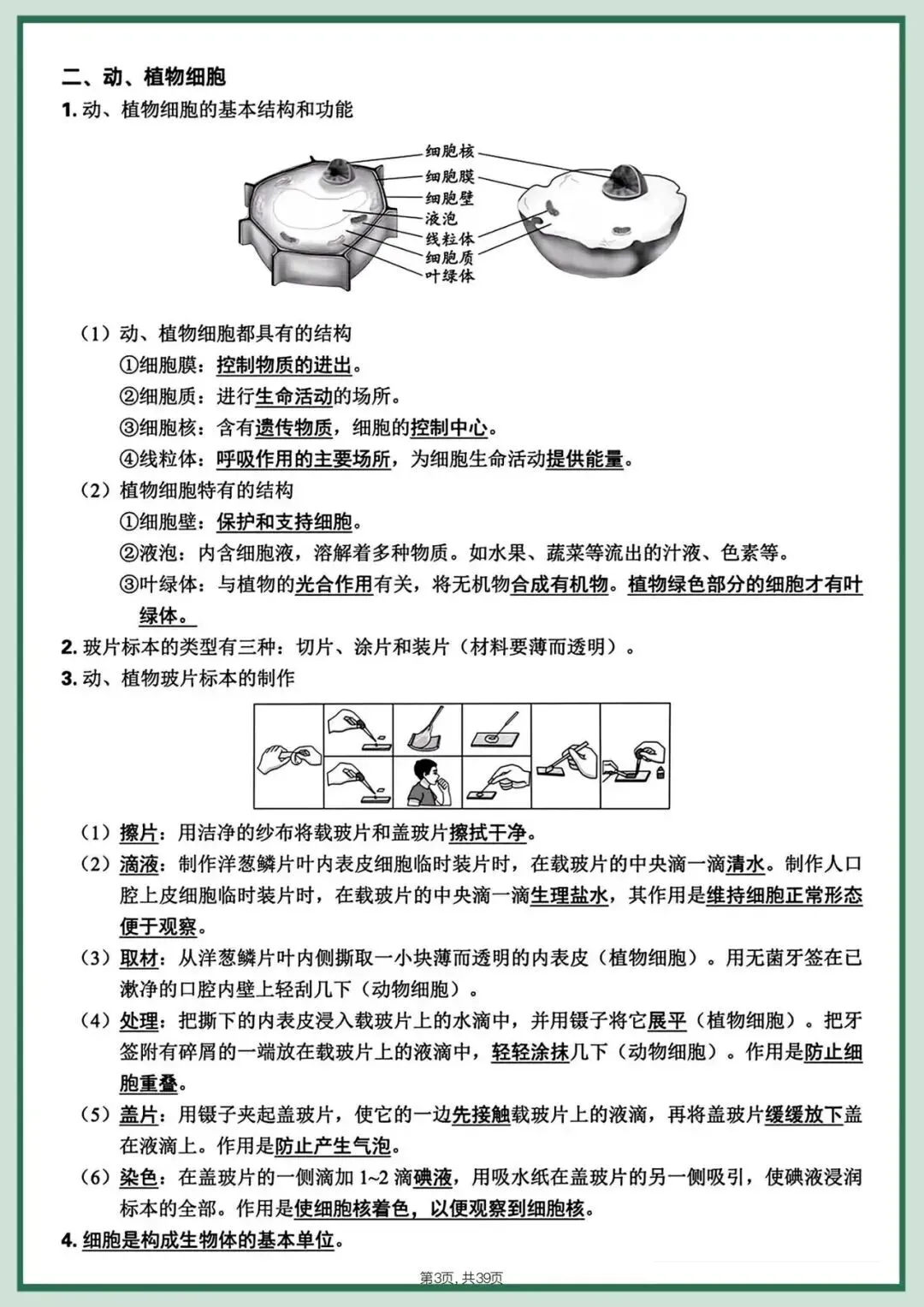 备战中考|2026春新八年级下册《生物会考》全册知识点梳理,完整版可打印下载! 第5张