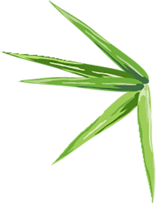 湖南财经管理主观题到底怎么答?超详细真题解析 第2张