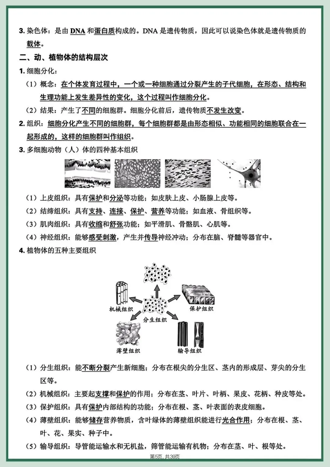 备战中考|2026春新八年级下册《生物会考》全册知识点梳理,完整版可打印下载! 第7张