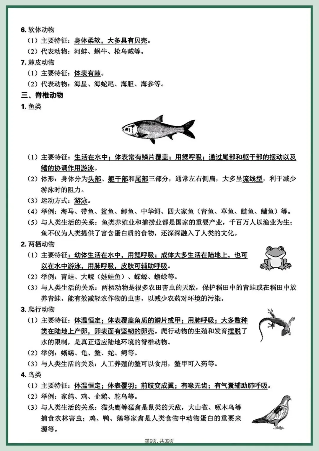 备战中考|2026春新八年级下册《生物会考》全册知识点梳理,完整版可打印下载! 第11张