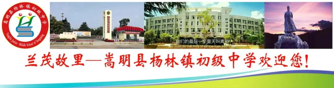 壮志凌云赴中考 青春逐梦正当时--杨林镇初级中学2026年中考誓师大会 第1张