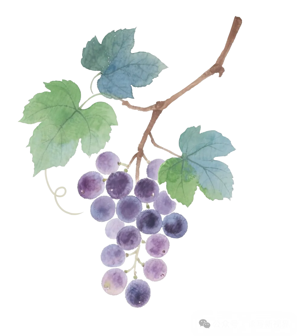 【新题型】最近5年考情分析+答题技巧+真题+典例训练+答题要领点 第12张