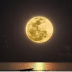 【新题型】最近5年考情分析+答题技巧+真题+典例训练+答题要领点 第28张