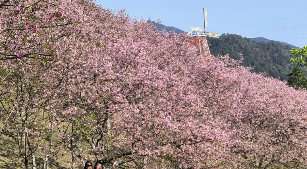 中考非学习因素风险防控经验谈 第3张 中考非学习因素风险防控经验谈 第3张