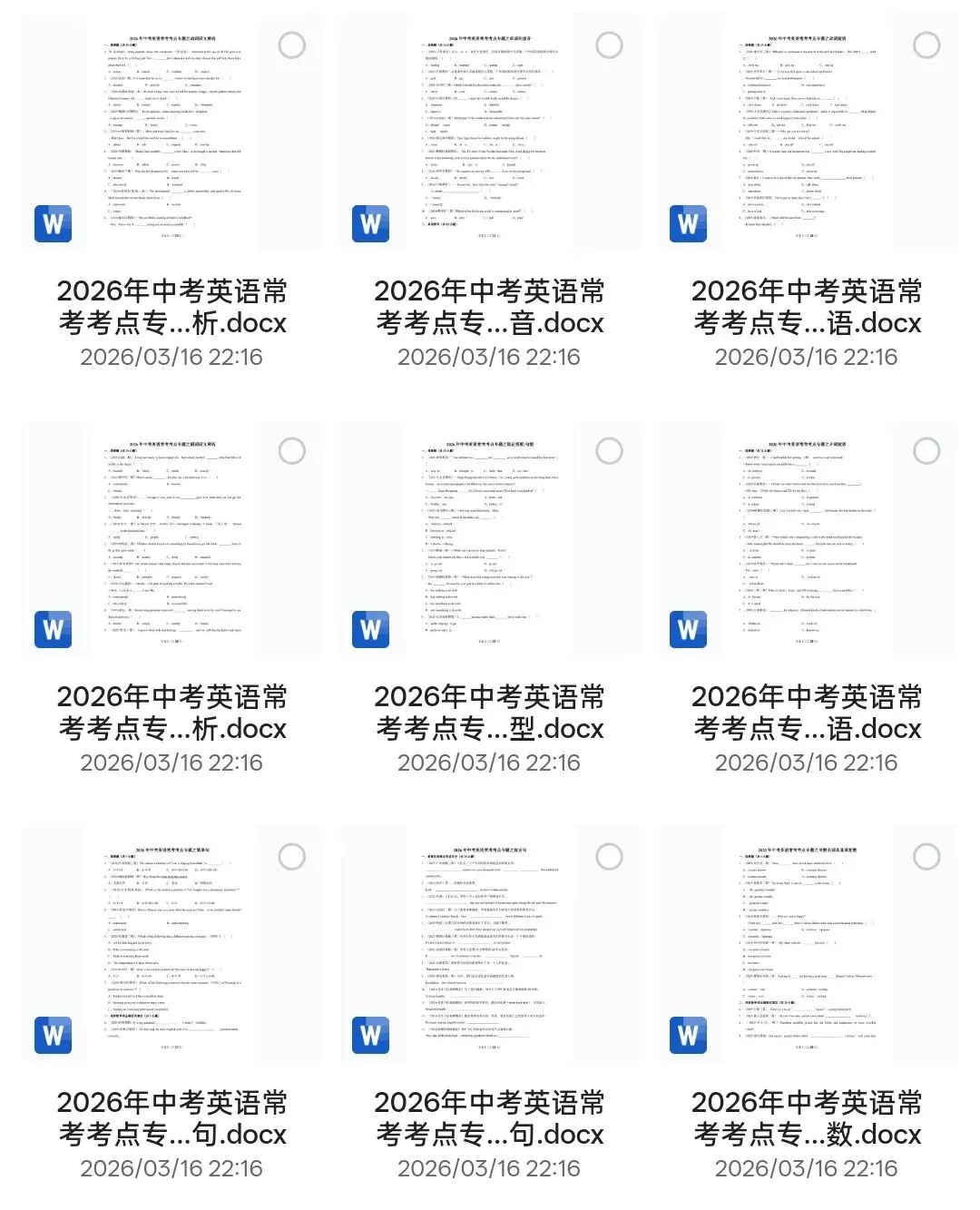 中考英语超全集锦|2026中考英语常考易考考点专题训练(word版可编辑),电子版可打印 第4张