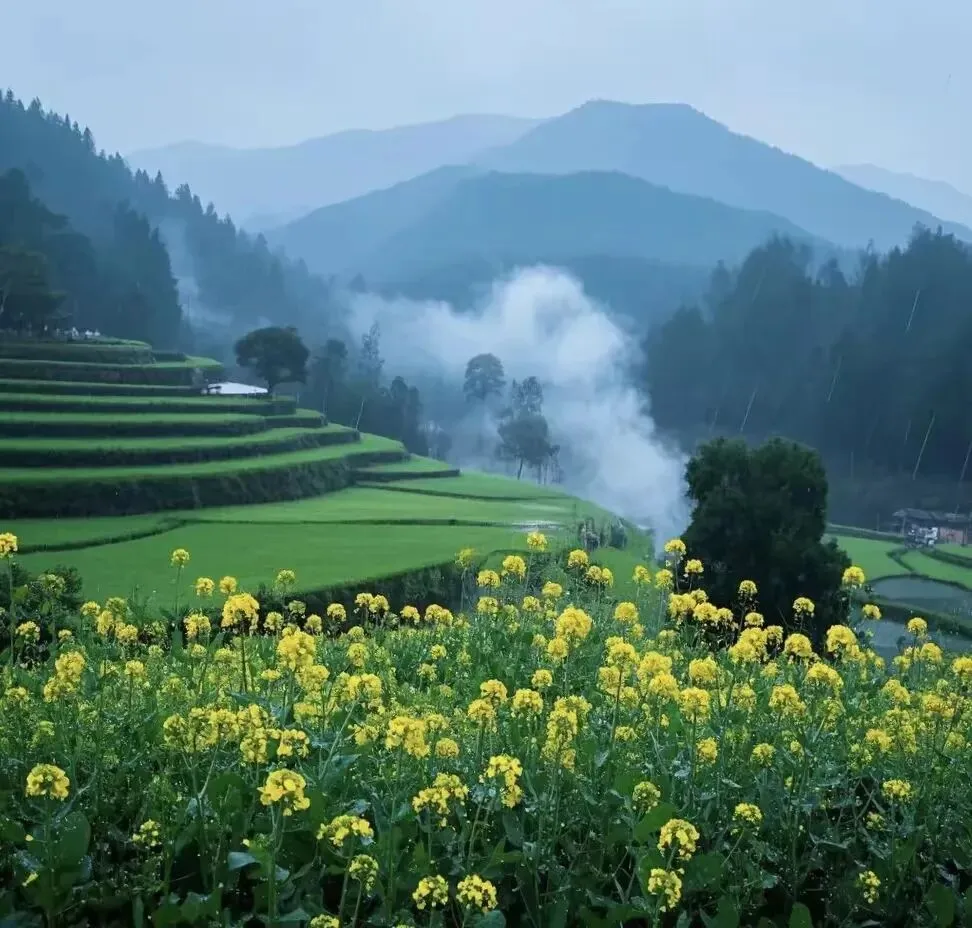 【中考阅读指导】东风何以是春风(朱美禄)湖南2025 第4张 【中考阅读指导】东风何以是春风(朱美禄)湖南2025 第4张