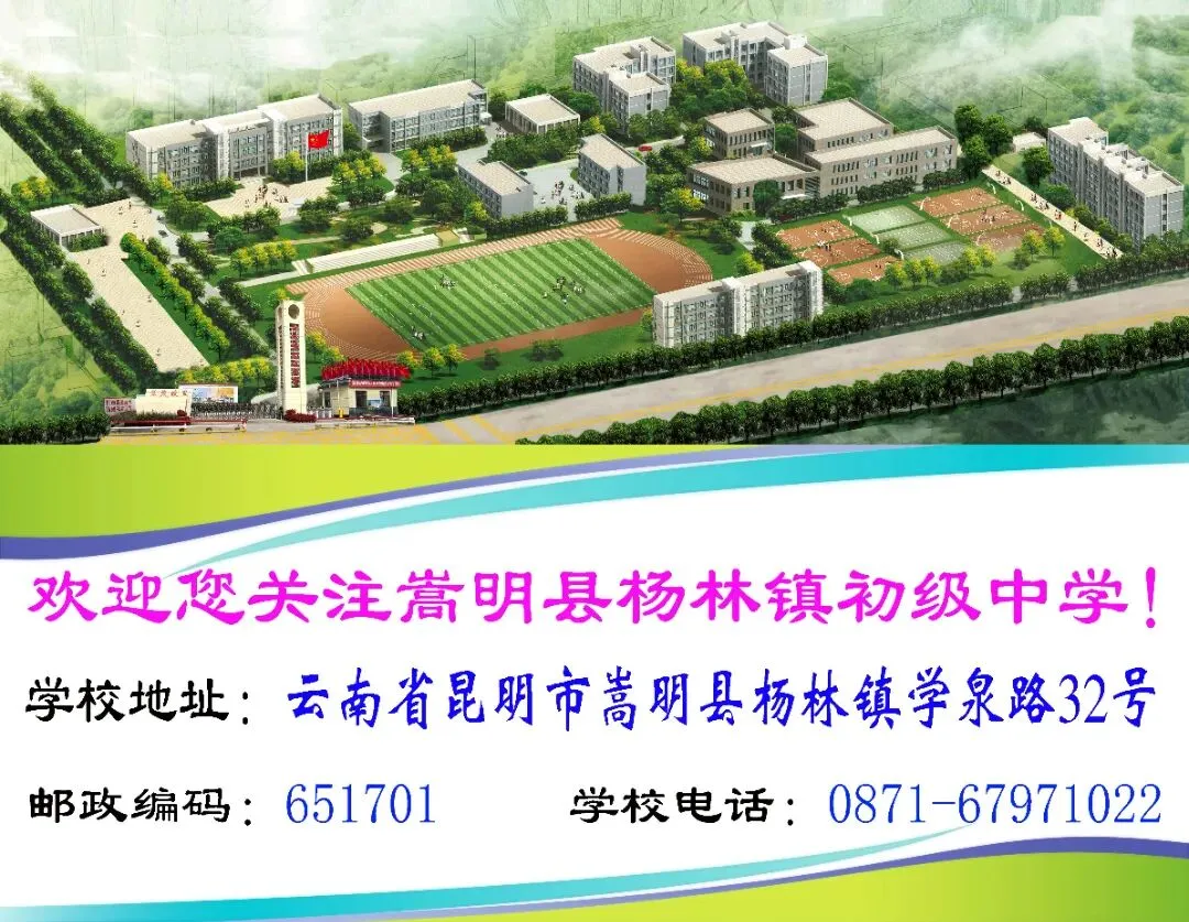 壮志凌云赴中考 青春逐梦正当时--杨林镇初级中学2026年中考誓师大会 第91张