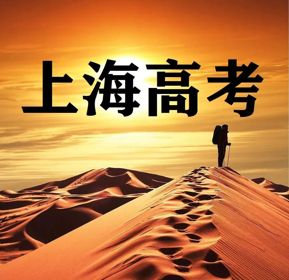 604 上海中考数学压轴题——美妙的旋转 第5张