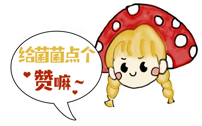 速递 | 关于全国计算机等级考试免费考前模拟的通知 第2张