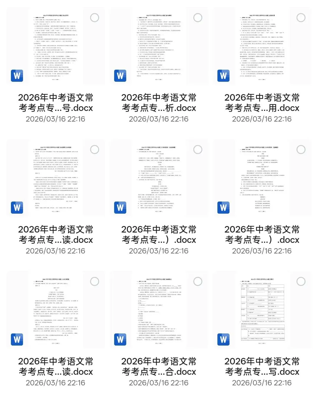 中考语文超全集锦|2026中考语文常考易考考点专题训练(word版可编辑),电子版可打印 第4张