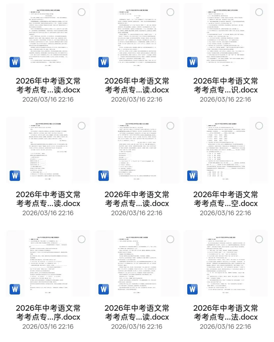 中考语文超全集锦|2026中考语文常考易考考点专题训练(word版可编辑),电子版可打印 第5张