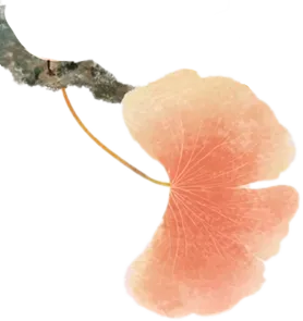 2026中考语文专题复习:押题字词、基础知识、词语解释01号 第6张