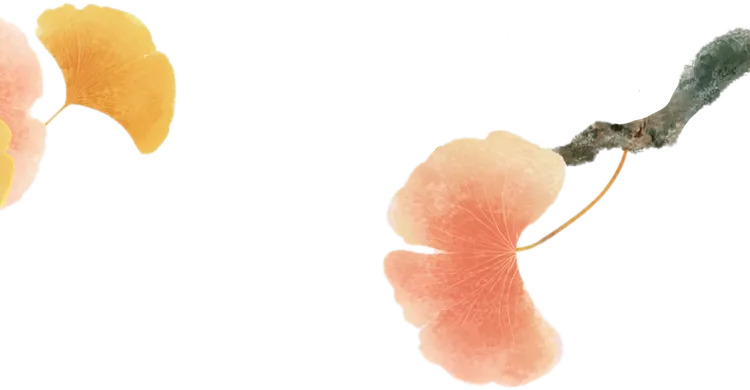 2026中考语文专题复习:押题字词、基础知识、词语解释01号 第9张