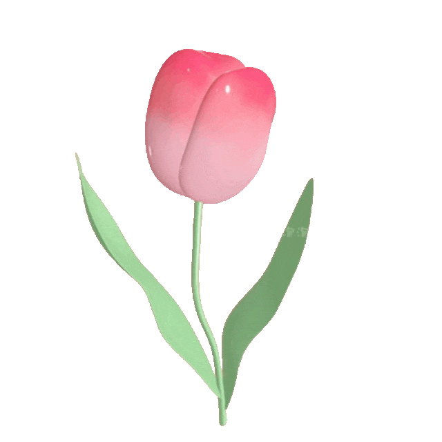 2026(模拟卷五)江苏省中考英语听力口语自动化考试 第13张