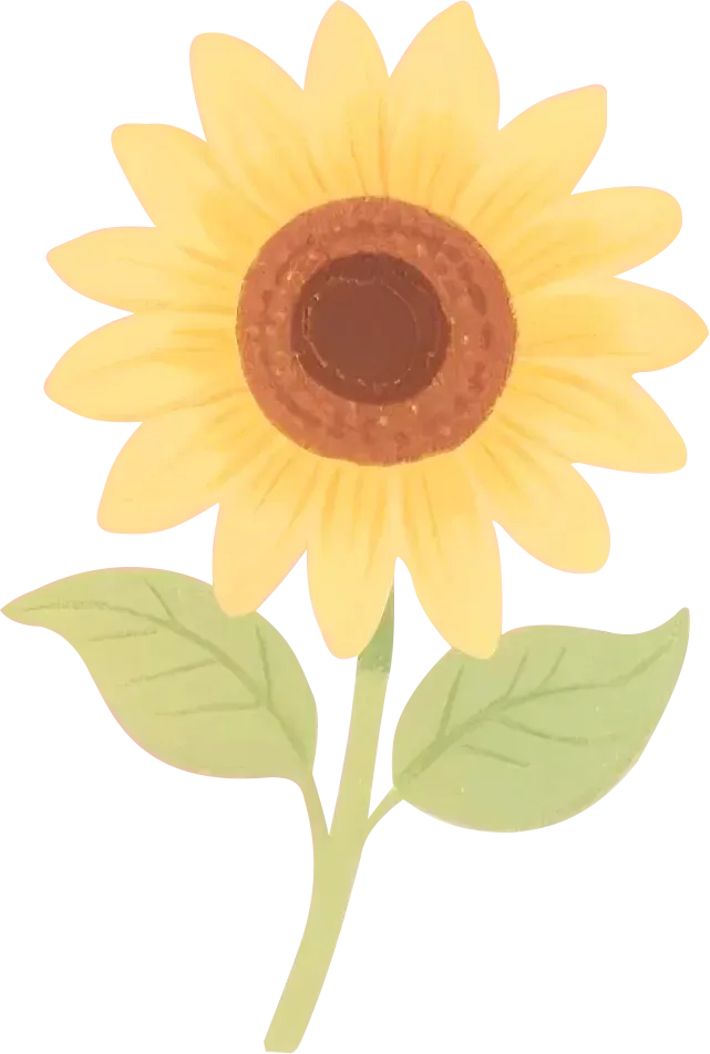 专升本英语高频名词(真题核心版) 第10张