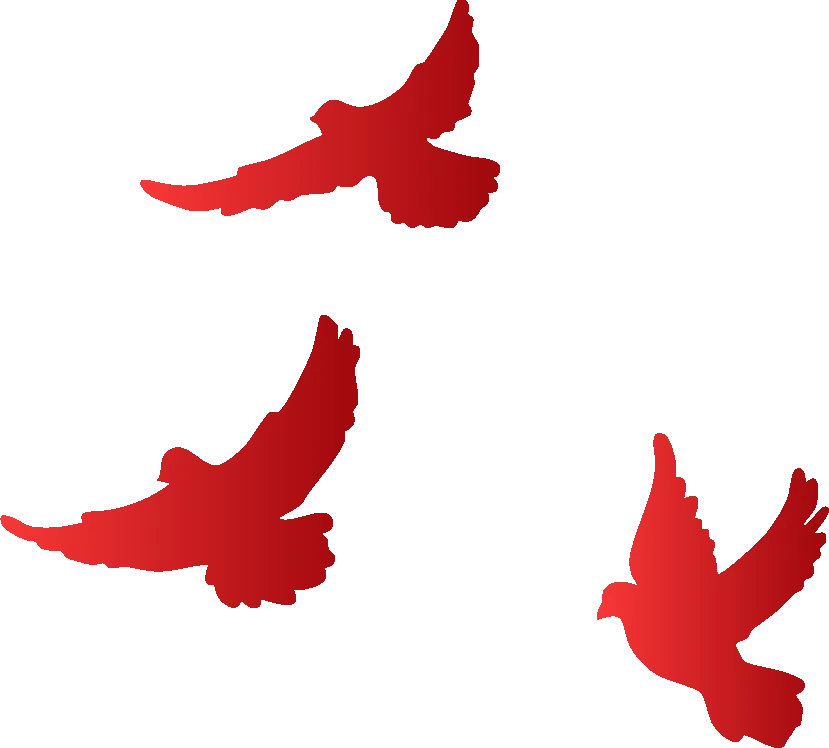 2026 北京中考特长生|招生政策、报名流程、录取要求全汇总 第1张