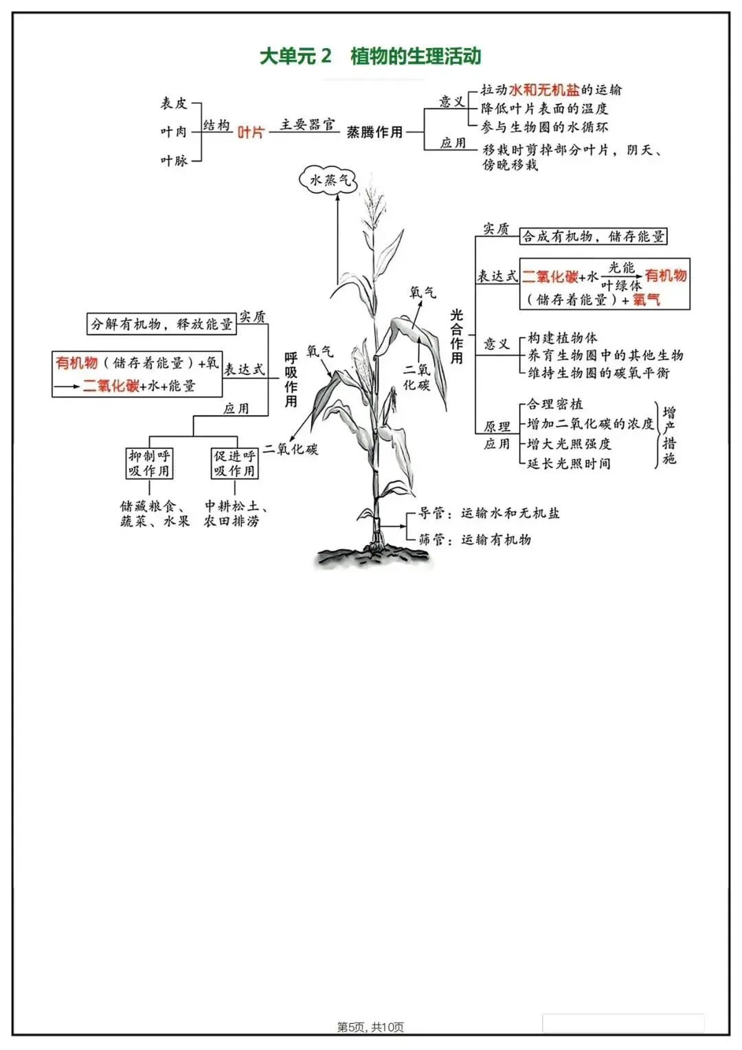 备战中考|2026春新八年级下册《生物会考》思维导图,完整版可打印下载! 第7张