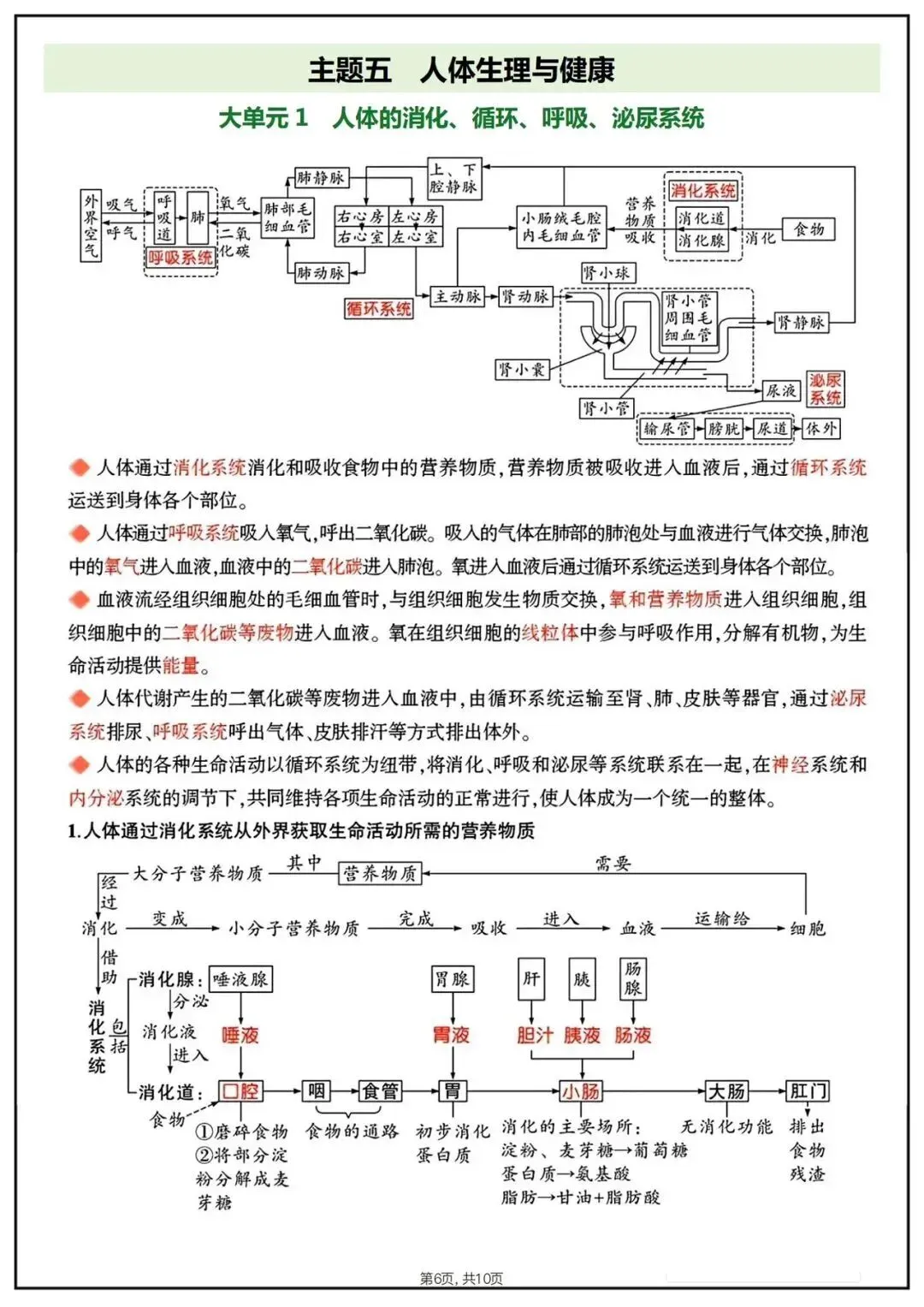 备战中考|2026春新八年级下册《生物会考》思维导图,完整版可打印下载! 第8张