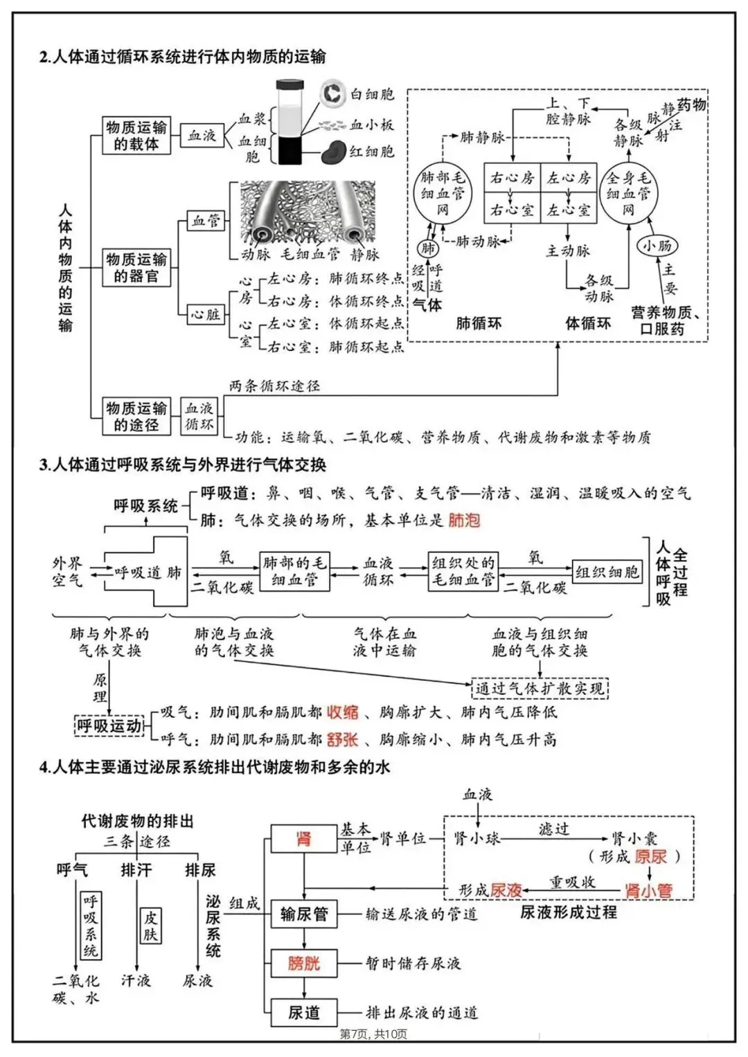备战中考|2026春新八年级下册《生物会考》思维导图,完整版可打印下载! 第9张
