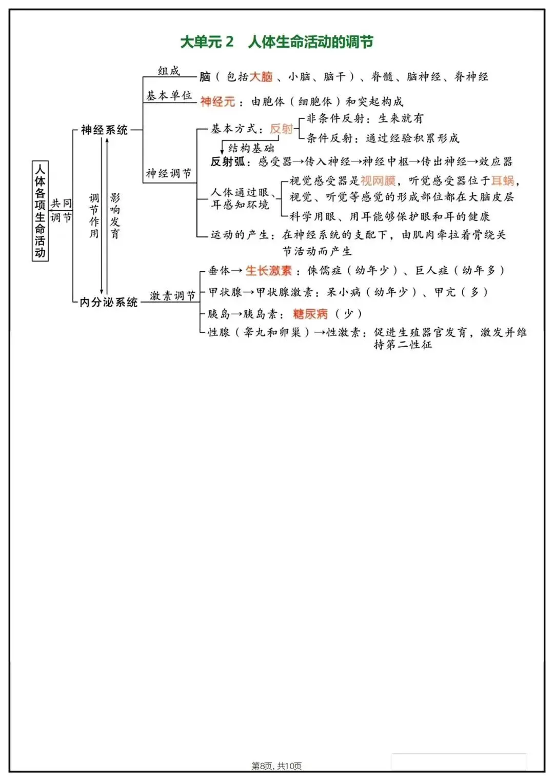 备战中考|2026春新八年级下册《生物会考》思维导图,完整版可打印下载! 第10张
