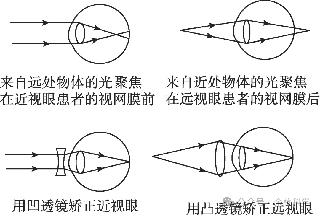 【中考复习】物理专题知识点⑦:声和光 第22张
